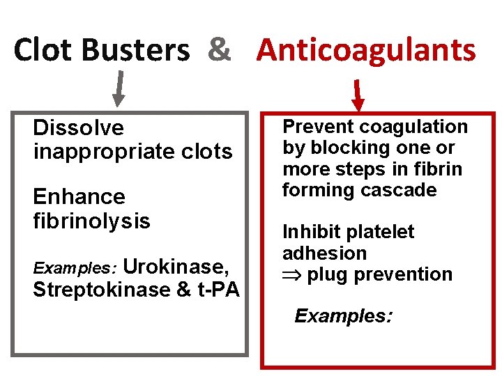 Clot Busters & Anticoagulants Dissolve inappropriate clots Enhance fibrinolysis Urokinase, Streptokinase & t-PA Examples: