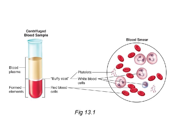 Fig 13. 1 