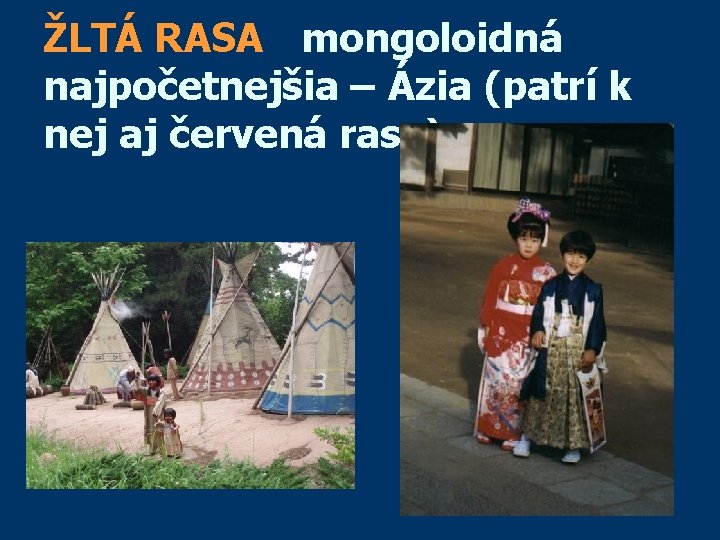 ŽLTÁ RASA mongoloidná najpočetnejšia – Ázia (patrí k nej aj červená rasa) 