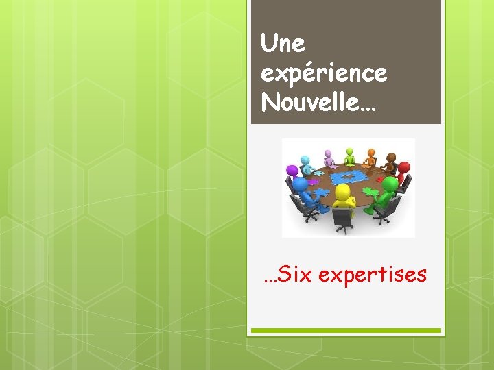 Une expérience Nouvelle… …Six expertises 