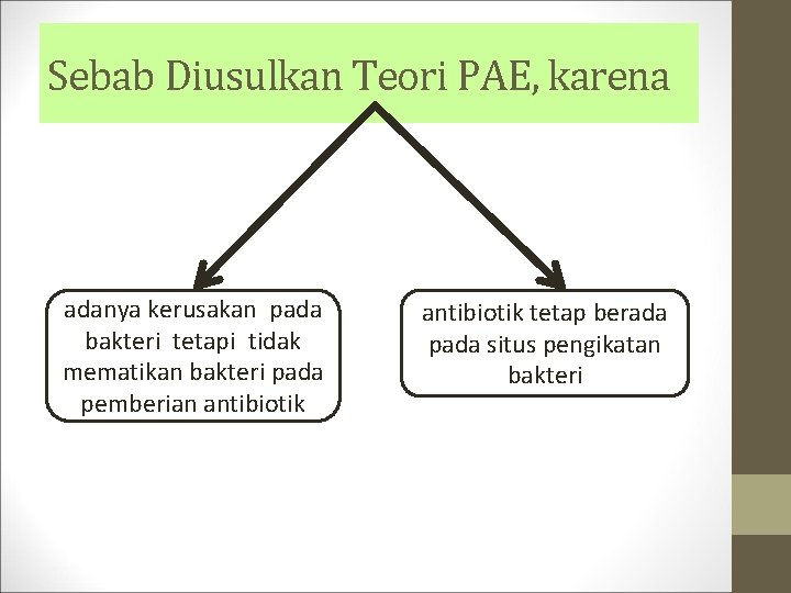 Sebab Diusulkan Teori PAE, karena adanya kerusakan pada bakteri tetapi tidak mematikan bakteri pada