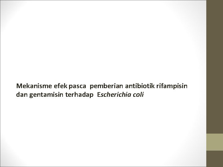 Mekanisme efek pasca pemberian antibiotik rifampisin dan gentamisin terhadap Escherichia coli 