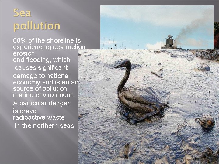 Sea pollution 60% of the shoreline is experiencing destruction, erosion and flooding, which causes