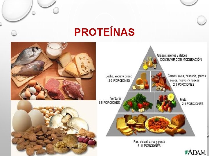 PROTEÍNAS 