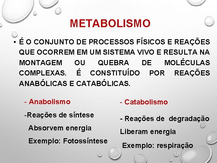 METABOLISMO • É O CONJUNTO DE PROCESSOS FÍSICOS E REAÇÕES QUE OCORREM EM UM