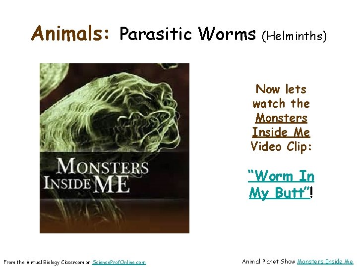 Animals: Parasitic Worms (Helminths) Now lets watch the Monsters Inside Me Video Clip: “Worm