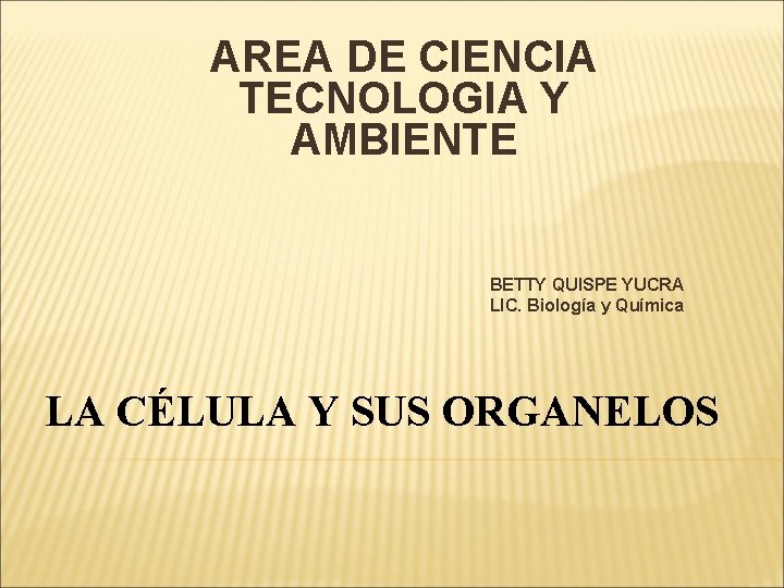 AREA DE CIENCIA TECNOLOGIA Y AMBIENTE BETTY QUISPE