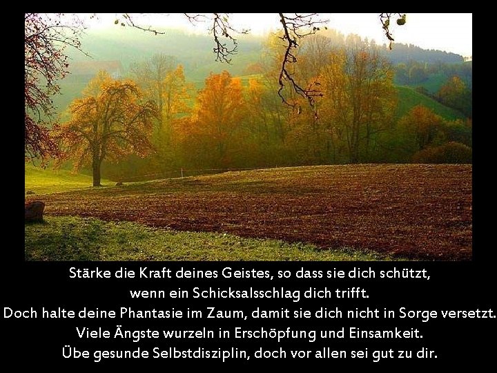 Stärke die Kraft deines Geistes, so dass sie dich schützt, wenn ein Schicksalsschlag dich