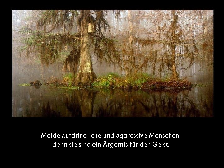 Meide aufdringliche und aggressive Menschen, denn sie sind ein Ärgernis für den Geist. 