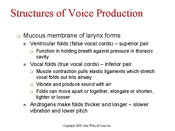 Structures of Voice Production q Mucous membrane of larynx forms n Ventricular folds (false