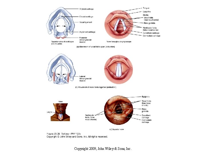 Copyright 2009, John Wiley & Sons, Inc. 