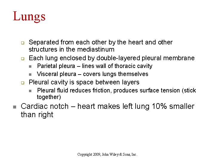 Lungs q q Separated from each other by the heart and other structures in