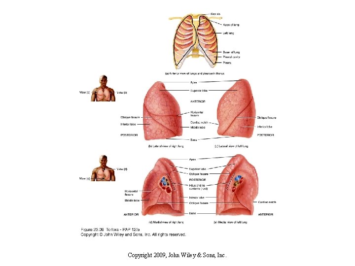 Copyright 2009, John Wiley & Sons, Inc. 