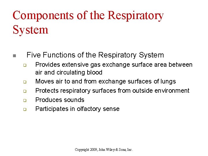 Components of the Respiratory System n Five Functions of the Respiratory System q q