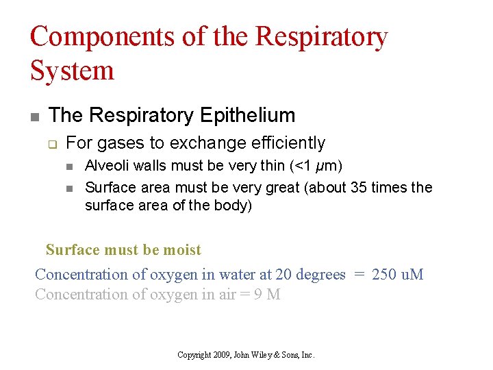 Components of the Respiratory System n The Respiratory Epithelium q For gases to exchange