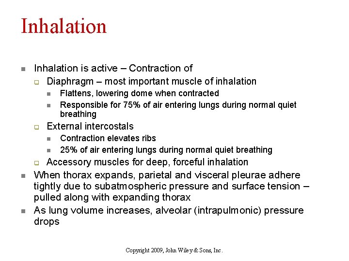 Inhalation n Inhalation is active – Contraction of q Diaphragm – most important muscle