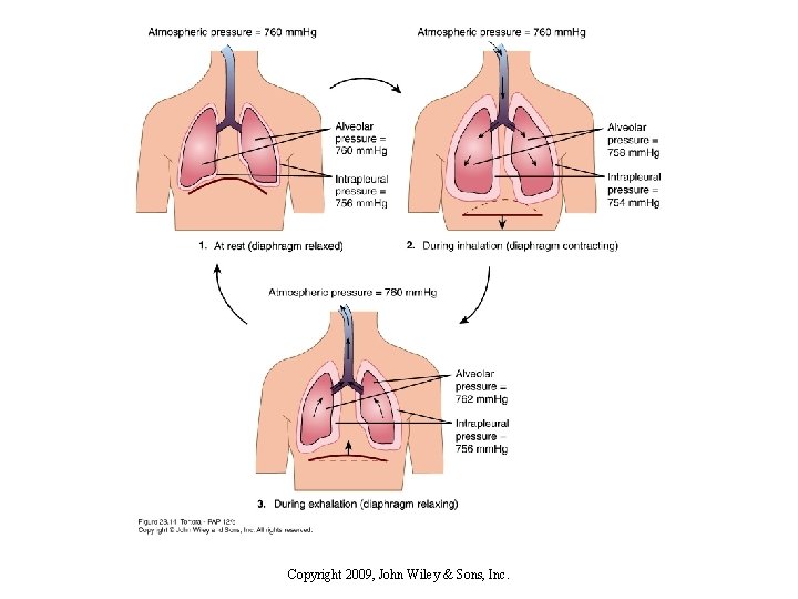 Copyright 2009, John Wiley & Sons, Inc. 