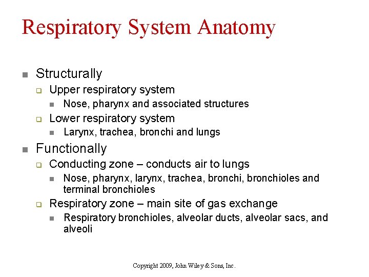 Respiratory System Anatomy n Structurally q Upper respiratory system n q Lower respiratory system