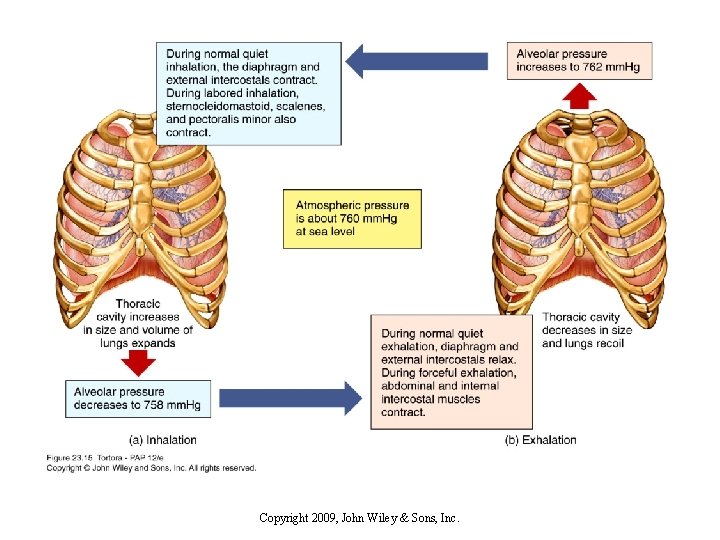 Copyright 2009, John Wiley & Sons, Inc. 