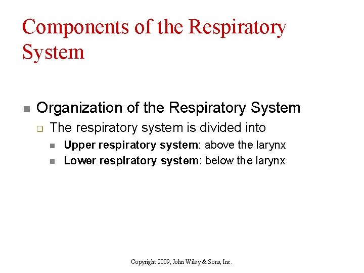 Components of the Respiratory System n Organization of the Respiratory System q The respiratory