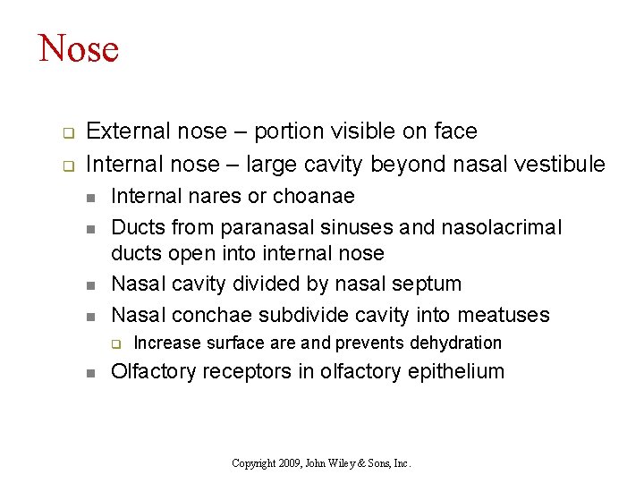 Nose q q External nose – portion visible on face Internal nose – large