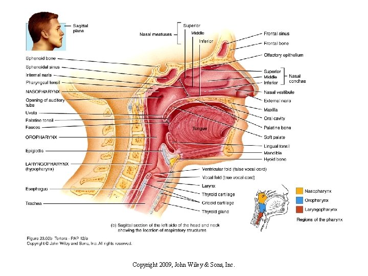 Copyright 2009, John Wiley & Sons, Inc. 