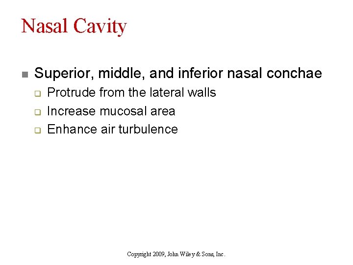Nasal Cavity n Superior, middle, and inferior nasal conchae q q q Protrude from