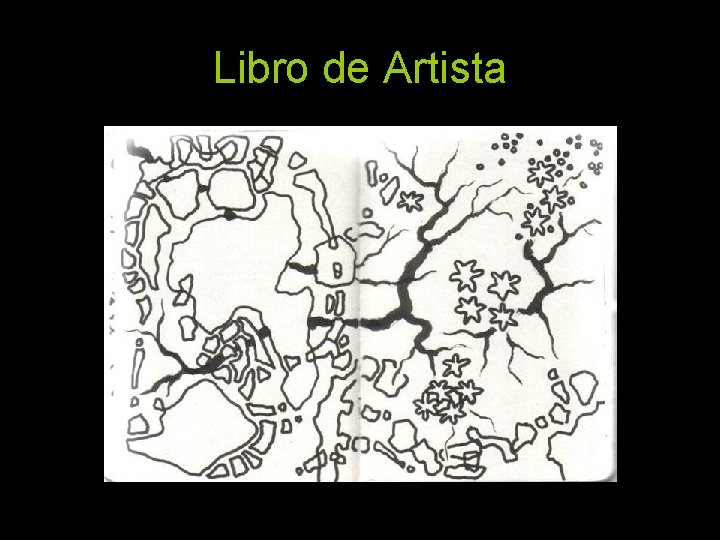 Libro de Artista 