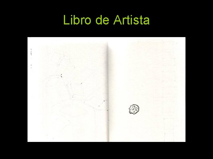 Libro de Artista 