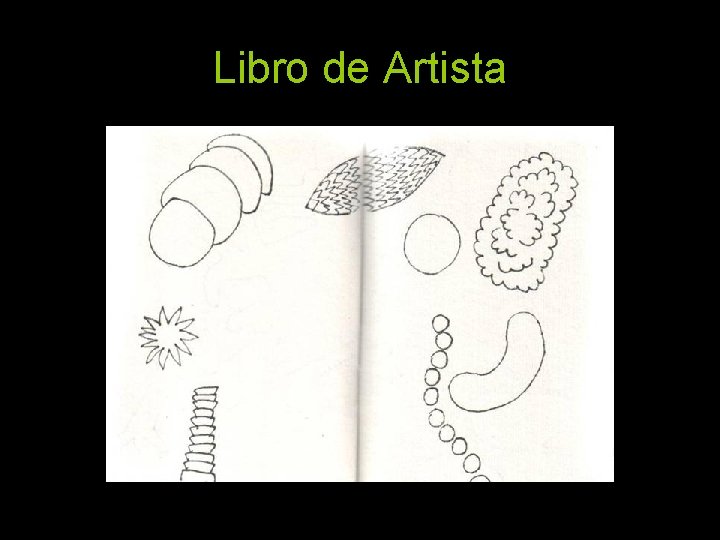 Libro de Artista 