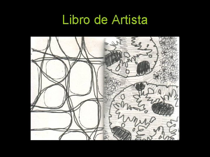 Libro de Artista 