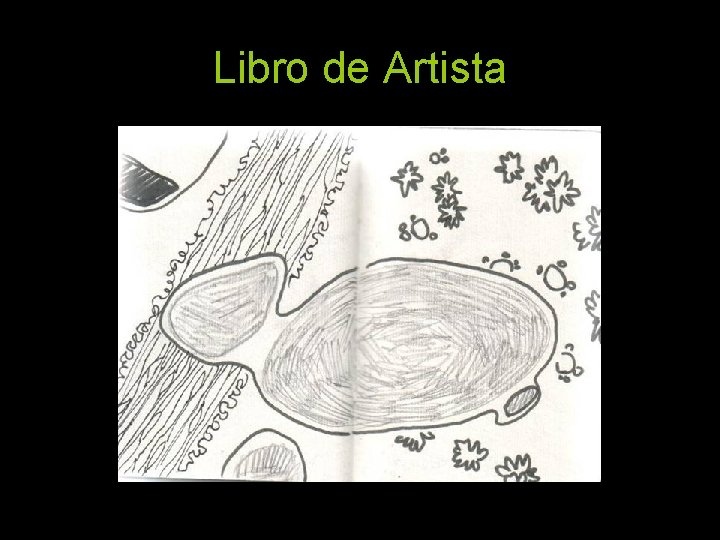 Libro de Artista 