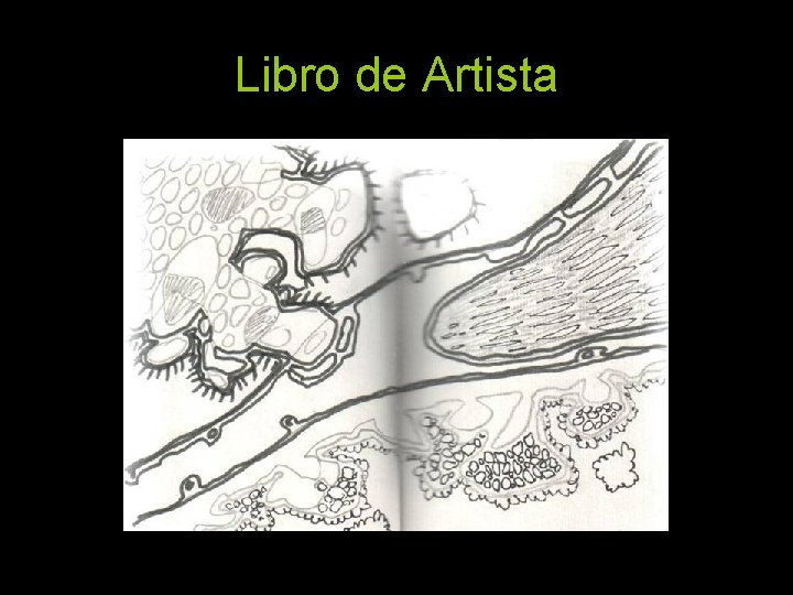 Libro de Artista 