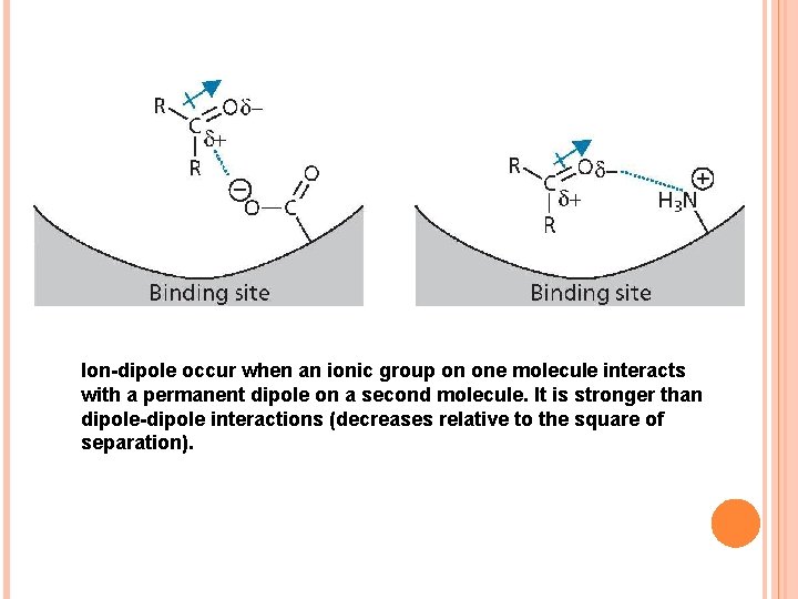 Ion-dipole occur when an ionic group on one molecule interacts with a permanent dipole