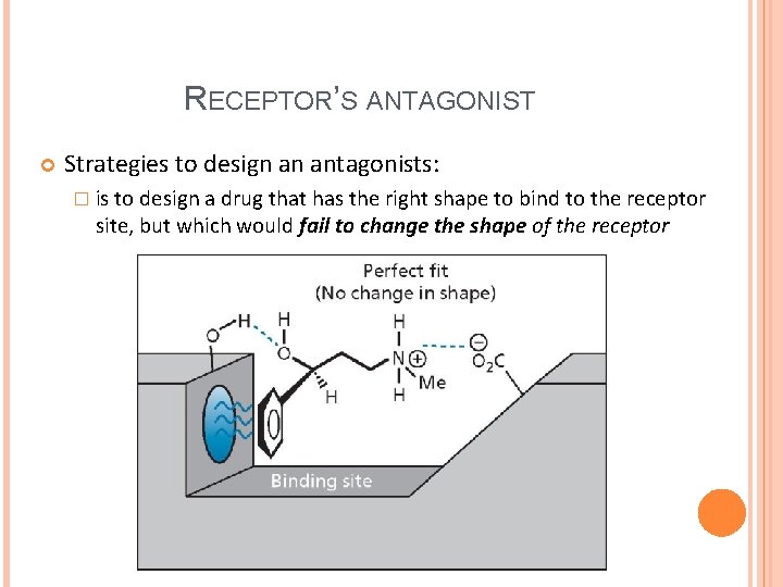 RECEPTOR’S ANTAGONIST Strategies to design an antagonists: � is to design a drug that