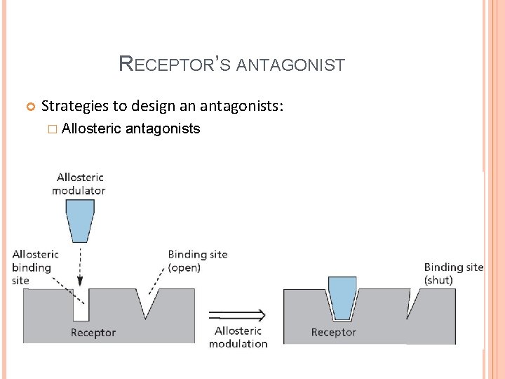 RECEPTOR’S ANTAGONIST Strategies to design an antagonists: � Allosteric antagonists 