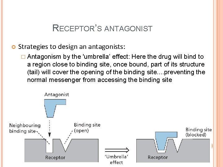 RECEPTOR’S ANTAGONIST Strategies to design an antagonists: � Antagonism by the 'umbrella’ effect: Here