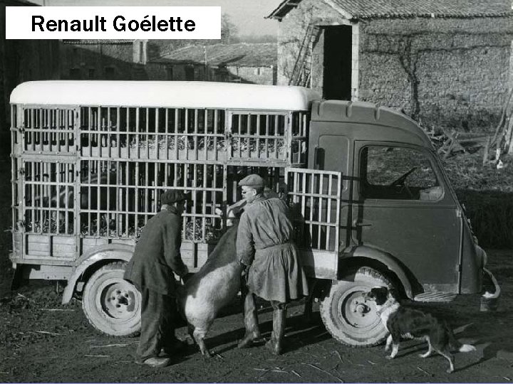 Renault Goélette 