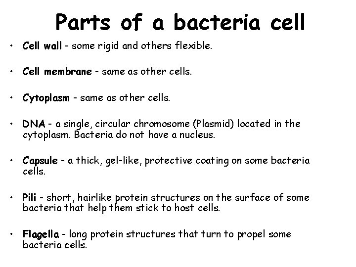 Parts of a bacteria cell • Cell wall - some rigid and others flexible.