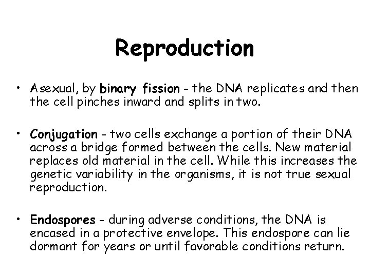 Reproduction • Asexual, by binary fission - the DNA replicates and then the cell