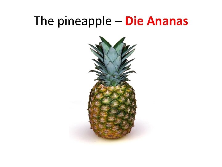 The pineapple – Die Ananas 