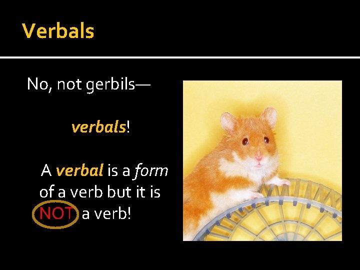 Verbals No, not gerbils— verbals! A verbal is a form of a verb but