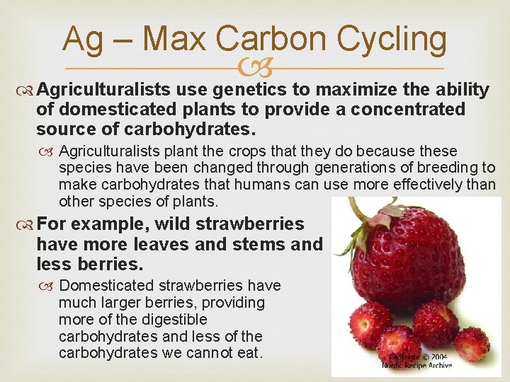 Ag – Max Carbon Cycling Agriculturalists use genetics to maximize the ability of domesticated