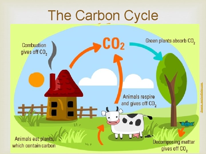 Source: eschooltoday. com The Carbon Cycle 