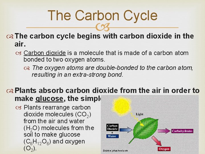 The Carbon Cycle The carbon cycle begins with carbon dioxide in the air. Carbon