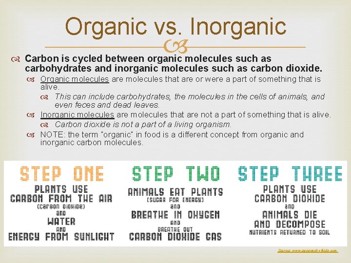 Organic vs. Inorganic Carbon is cycled between organic molecules such as carbohydrates and inorganic