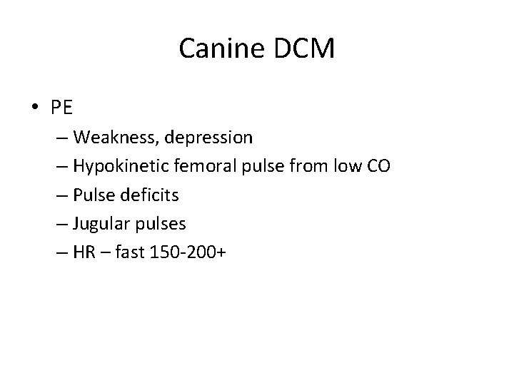 Canine DCM • PE – Weakness, depression – Hypokinetic femoral pulse from low CO