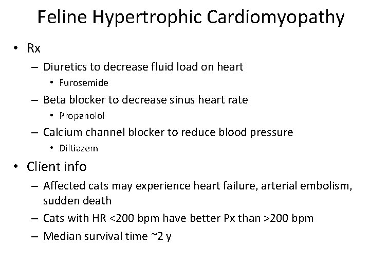 Feline Hypertrophic Cardiomyopathy • Rx – Diuretics to decrease fluid load on heart •