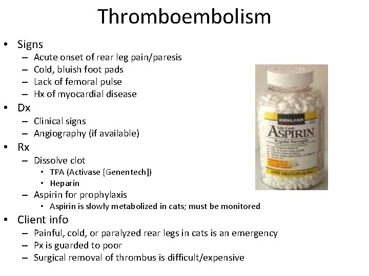 Thromboembolism • Signs – – • Dx Acute onset of rear leg pain/paresis Cold,