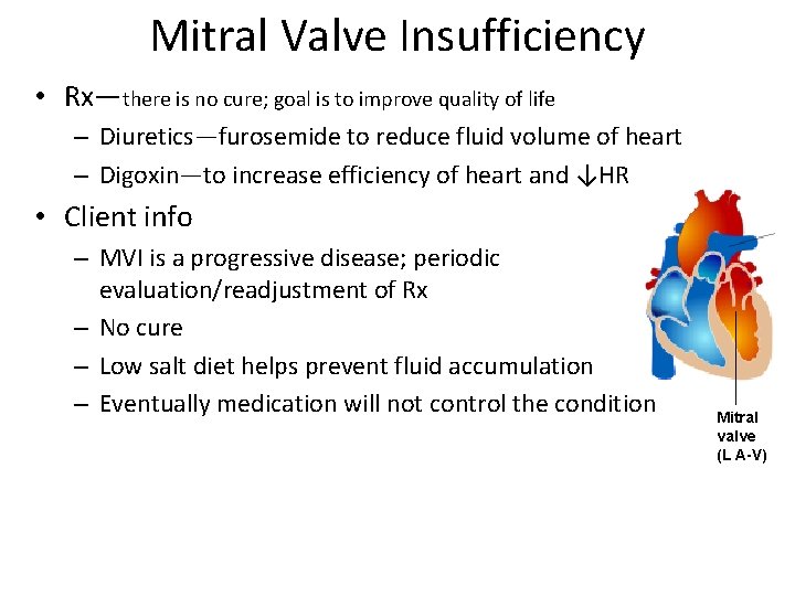 Mitral Valve Insufficiency • Rx—there is no cure; goal is to improve quality of